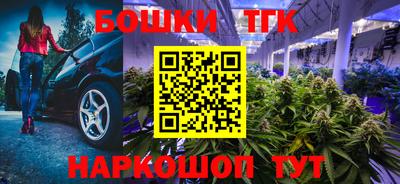 СК Ставрополь