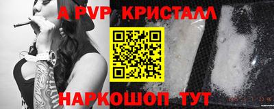 СК Ставрополь